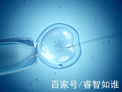 素竹生殖医学中心